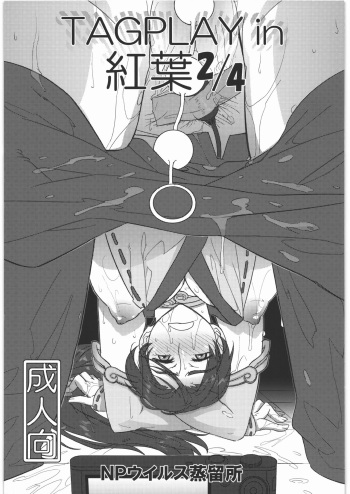 (C91) [NP Virus Jouryuusho (N-P-KATOU)] TAGPLAY in Kouyou 2/4 (DEAD OR ALIVE) cover