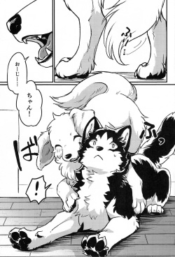 (New Year Kemoket 9) [D-Point! (Minaga Tsukune)] More,more,MORE! page 2