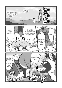 (Kansai! Kemoket 4) [Maririn] Tanuki x Kitsune | 젊은 여우와 문란한 너구리 [Korean] [Digital] page 2