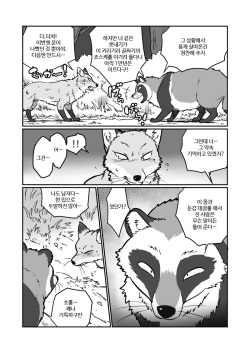 (Kansai! Kemoket 4) [Maririn] Tanuki x Kitsune | 젊은 여우와 문란한 너구리 [Korean] [Digital] page 3