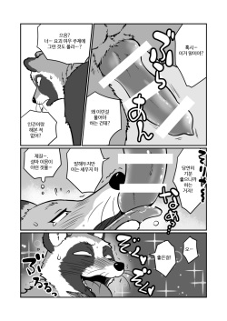 (Kansai! Kemoket 4) [Maririn] Tanuki x Kitsune | 젊은 여우와 문란한 너구리 [Korean] [Digital] page 5