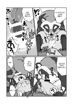 (Kansai! Kemoket 4) [Maririn] Tanuki x Kitsune | 젊은 여우와 문란한 너구리 [Korean] [Digital] page 6