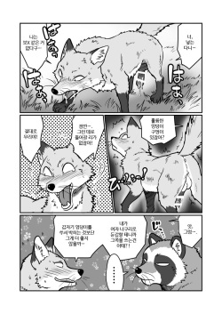 (Kansai! Kemoket 4) [Maririn] Tanuki x Kitsune | 젊은 여우와 문란한 너구리 [Korean] [Digital] page 7