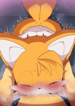 [DAGASI] Tanjou! Mesu Tails (Sonic the Hedgehog) page 5