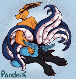 Panderk Comm