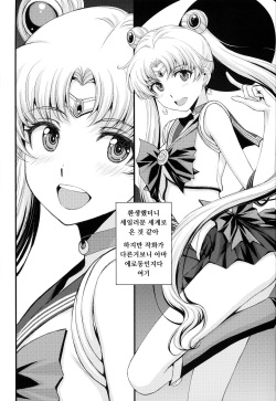 (C102) [Secret Society M (Kitahara Aki)] Usagi no Junjou!? Chin Make Bishoujo Senshi! (Bishoujo Senshi Sailor Moon) [Korean] page 2