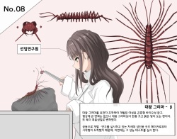 Mushi Research Report No.8 [Korean] page 1