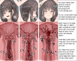 Mushi Research Report No.8 [Korean] page 4
