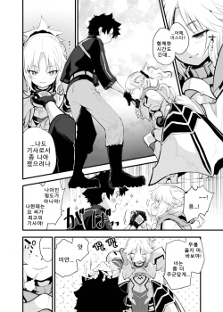 [Peθ (Mozu)] WILD HONEY Reiki Kagyakuteki Henkangata Kasetsu | WILD HONEY: 영기 가역적 변환형 가설 (FateGrand Order) [Korean] [Digital] page 3