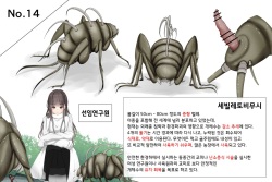 Mushi Research Report No.14 [Korean] page 1