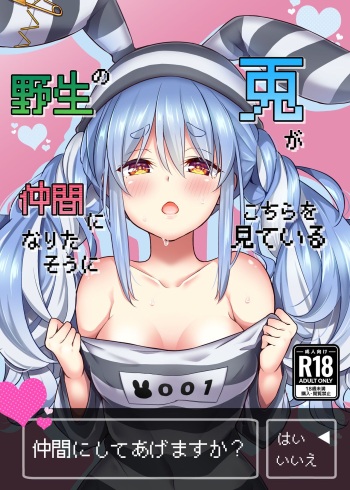 [ハチノコP (ハチゴ)] 野生の兎が仲間になりたそうにこちらを見ている (兎田ぺこら) [DL版] cover