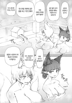 (Shuuki Reitaisai 9) [Psychetangle (Keta)] Onsen Dosukebe Orin-chan! | 온천 개변태 오린쨩! (Touhou Project) [Korean] page 3