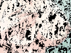 Gif Random Pos 5 page 6