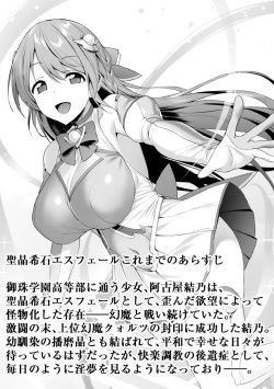 [ニワカカミキリヤモドキ]聖晶希石エスフェール Tinctionis page 2