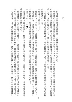 [ニワカカミキリヤモドキ]聖晶希石エスフェール Tinctionis page 3