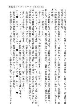 [ニワカカミキリヤモドキ]聖晶希石エスフェール Tinctionis page 4