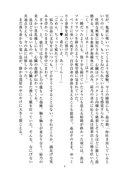 [ニワカカミキリヤモドキ]聖晶希石エスフェール Tinctionis page 5
