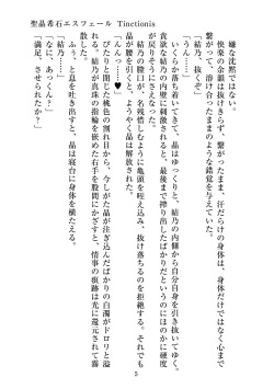 [ニワカカミキリヤモドキ]聖晶希石エスフェール Tinctionis page 6